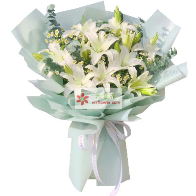庆阳6支白色多头百合，温馨的祝福