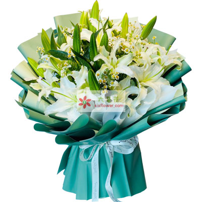 庆阳8支白色多头百合洋甘菊，如潮的思念